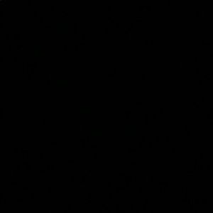 Meet your Posher, Yasmine